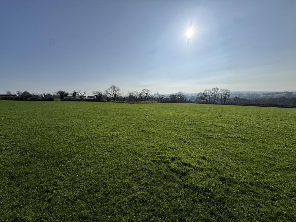The Land
