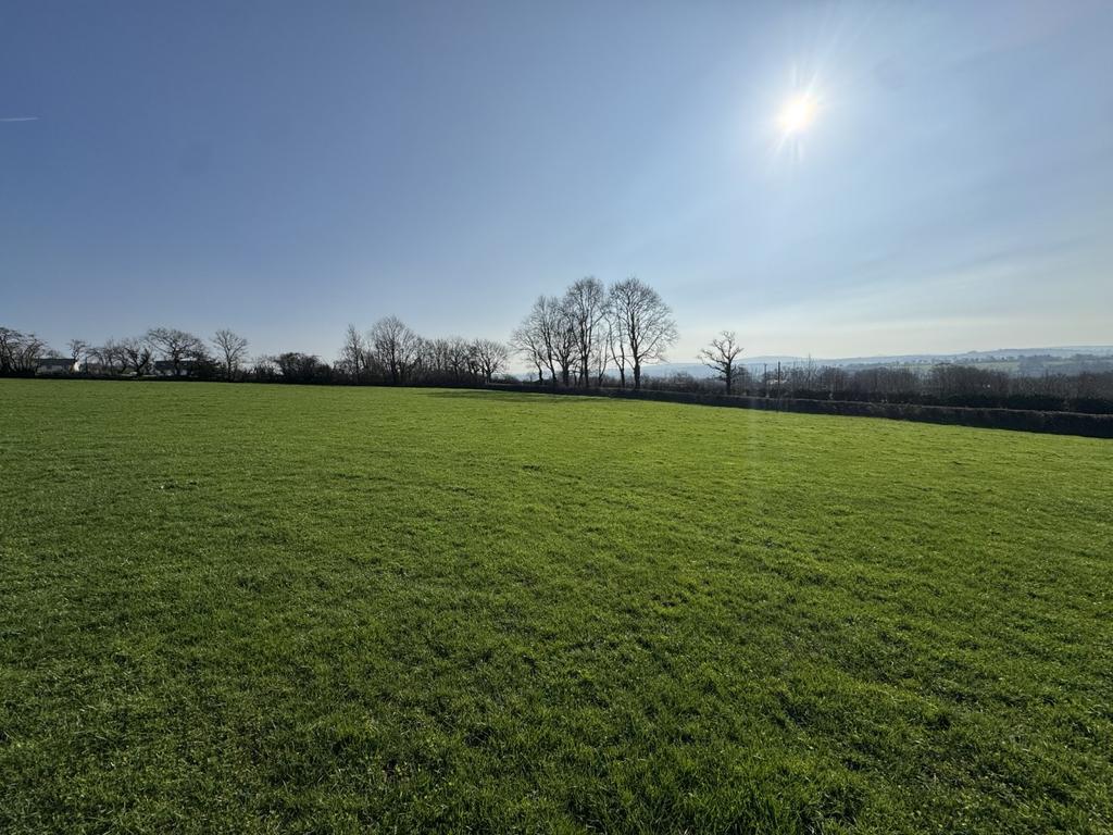 The Land
