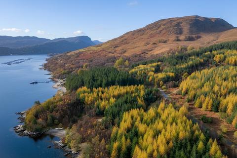 undefined, Strome Woodland & Development Site, Lochcarron IV54