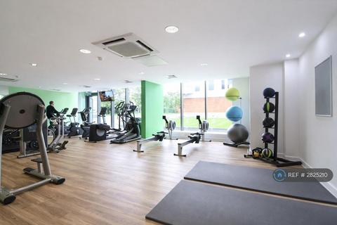 1 bedroom in a flat share to rent, Switch House, London, E14