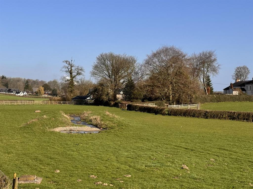 Img 6051.jpeg