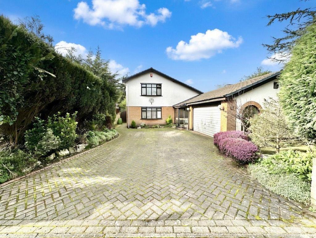 Whats App Image 2026-03-10 at 16.42.021.jpeg