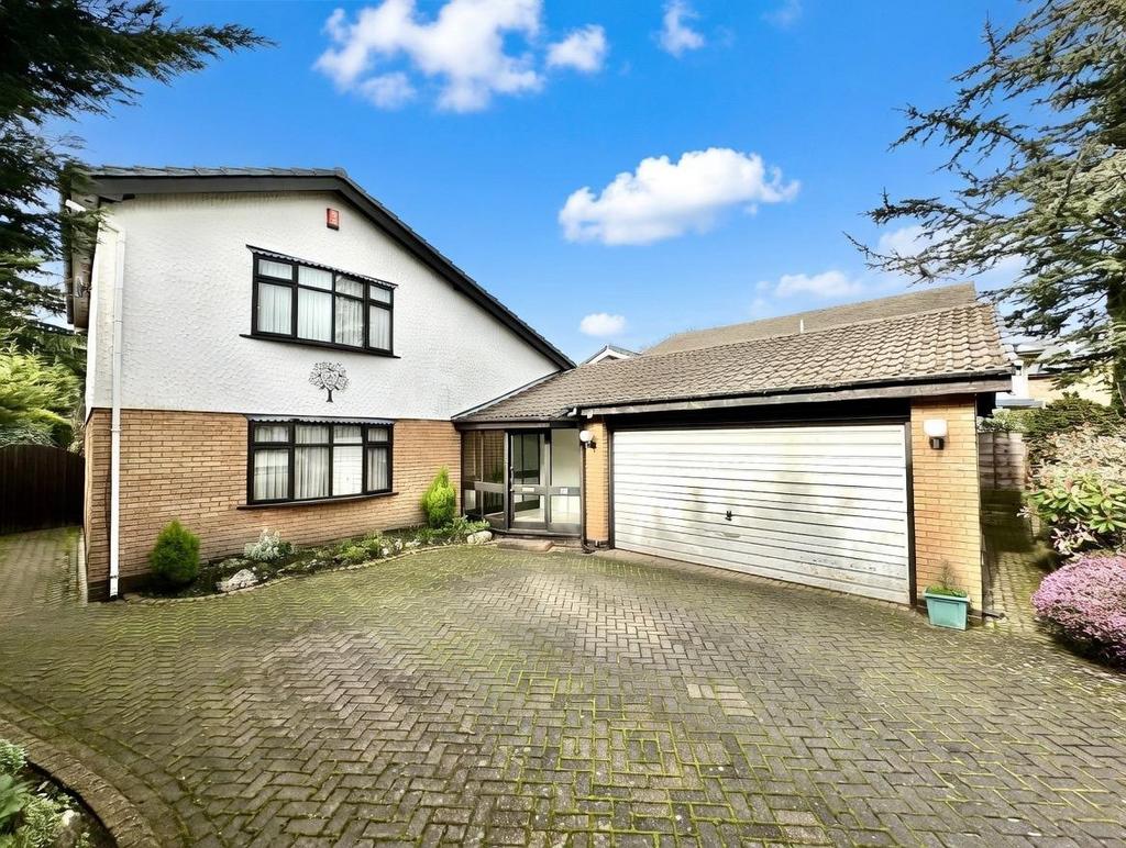 Whats App Image 2026-03-10 at 17.09.2800.jpeg