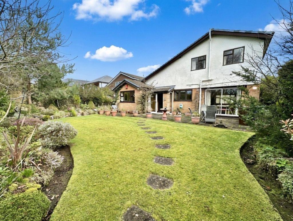 Whats App Image 2026-03-10 at 16.42.043.jpeg