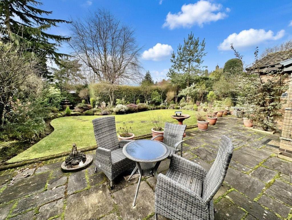 Whats App Image 2026-03-10 at 16.42.032.jpeg