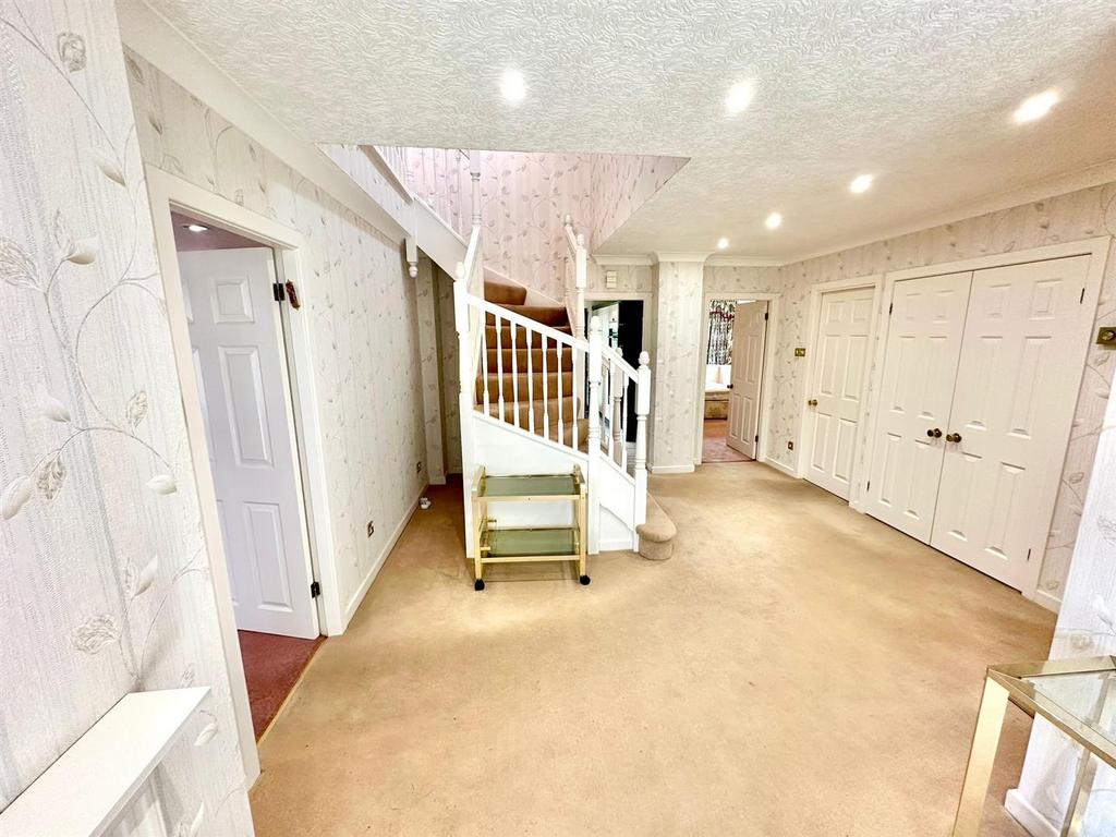 Whats App Image 2026-03-10 at 16.42.12343.jpeg