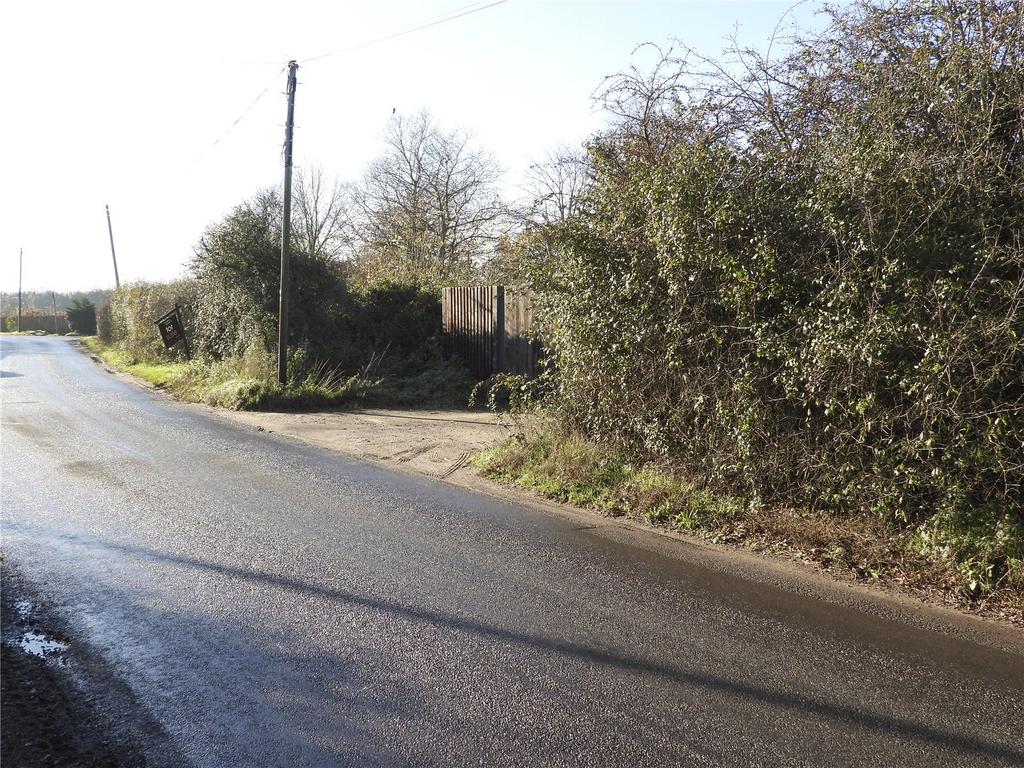 Picture 16