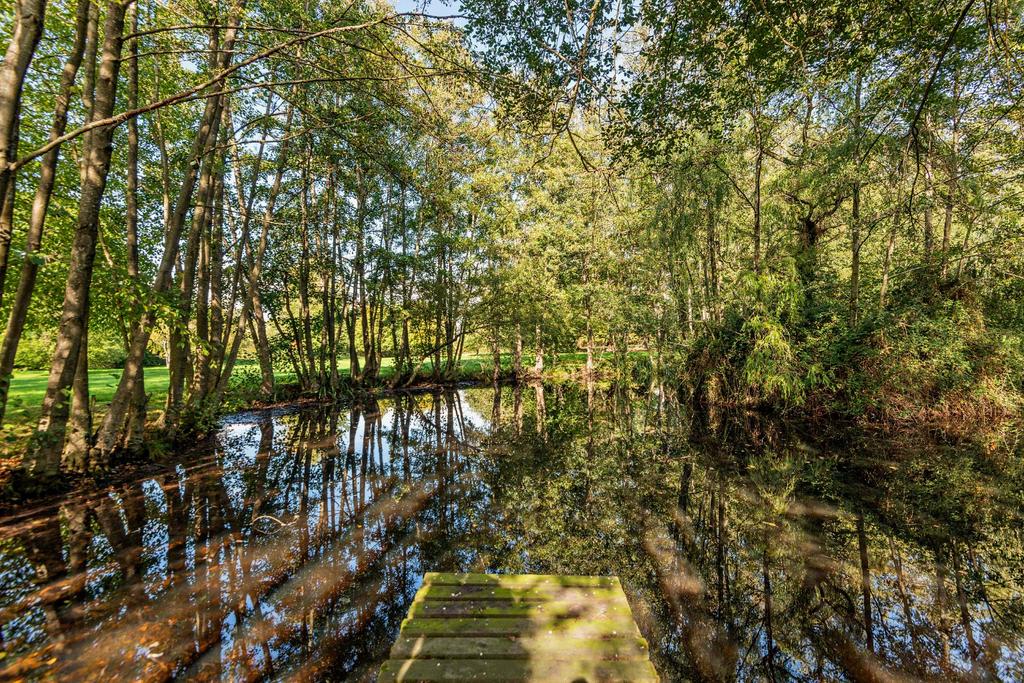 Natural Pond