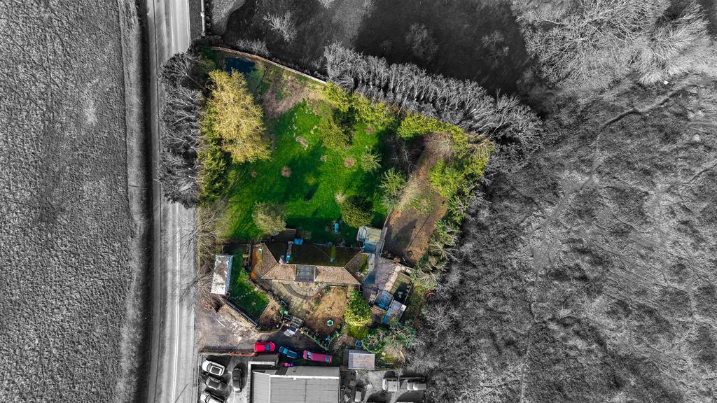 DJI 20260305130947 0009 D.jpg
