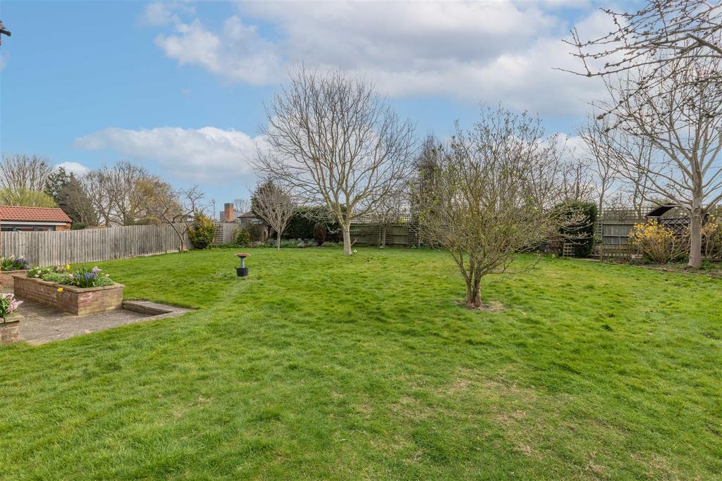 South facing garden