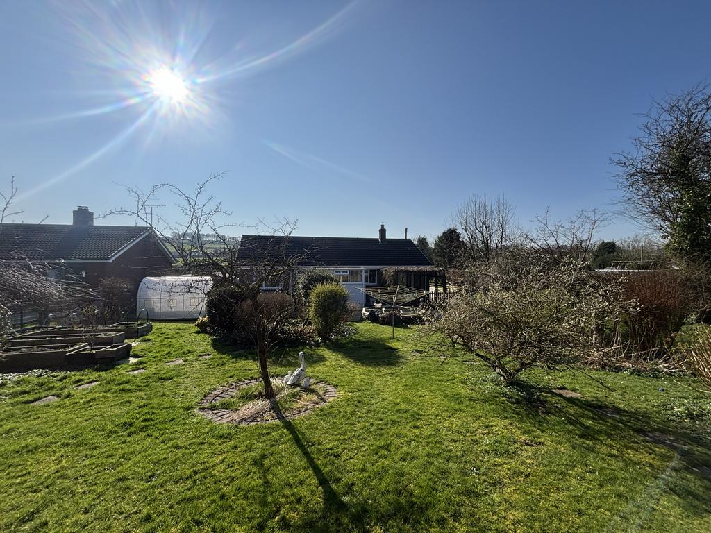 Garden (second image)