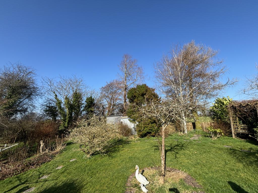 Garden (fourth image)