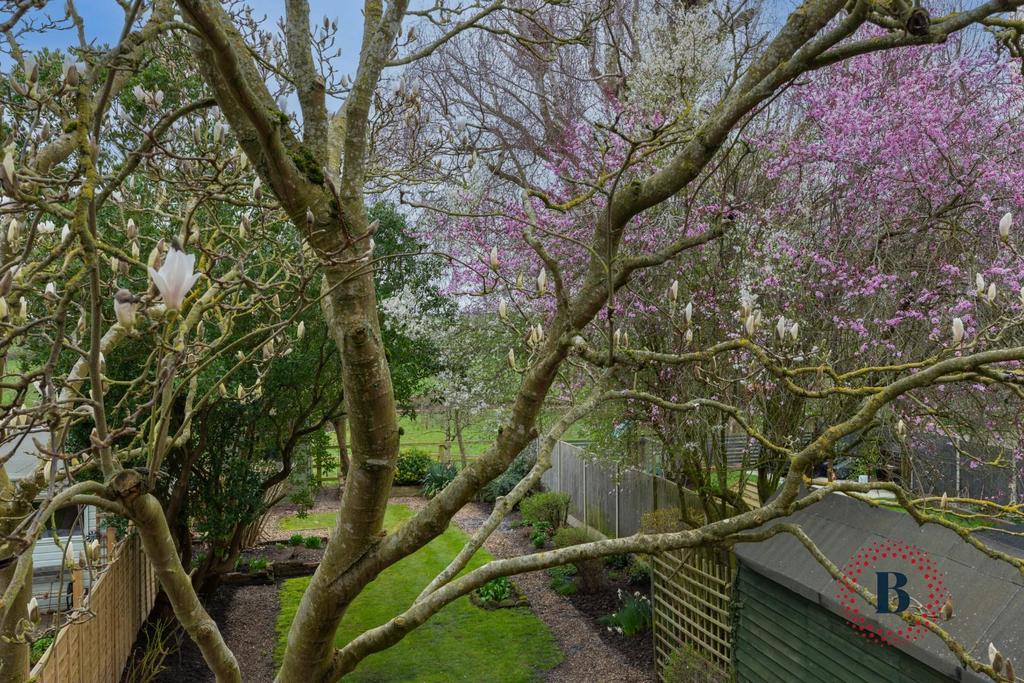 Garden-2.jpg