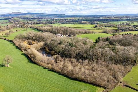 undefined, Richards Castle, Ludlow, Shropshire, SY8