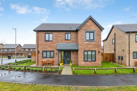 undefined, Birch Tree Grove, Langley Park DH7