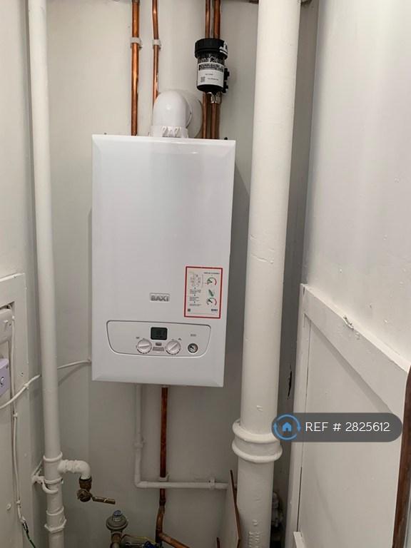 New Boiler