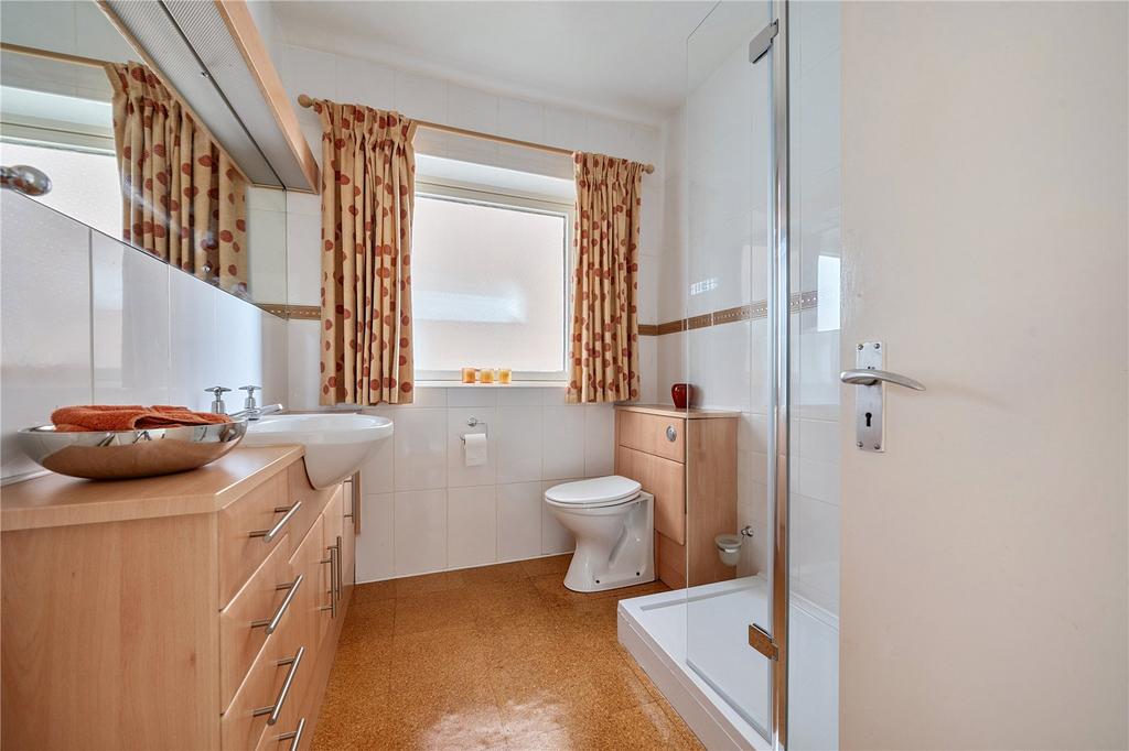 Downstairs Shower