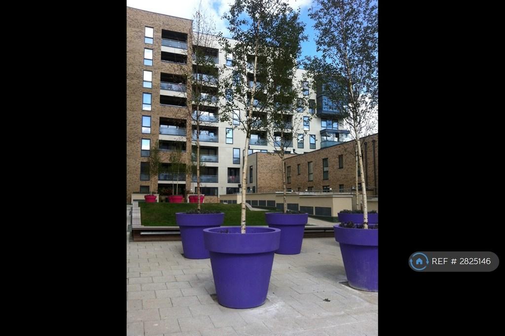 Communal Gardens