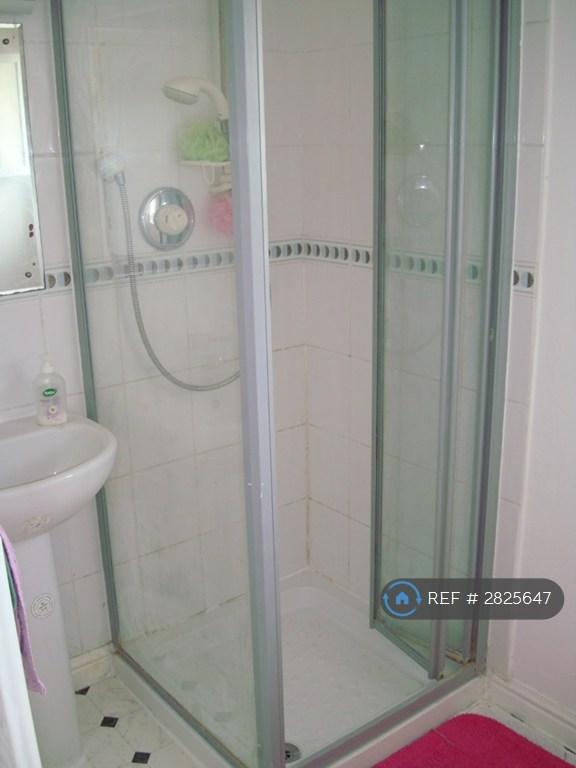 Shower Room (2)