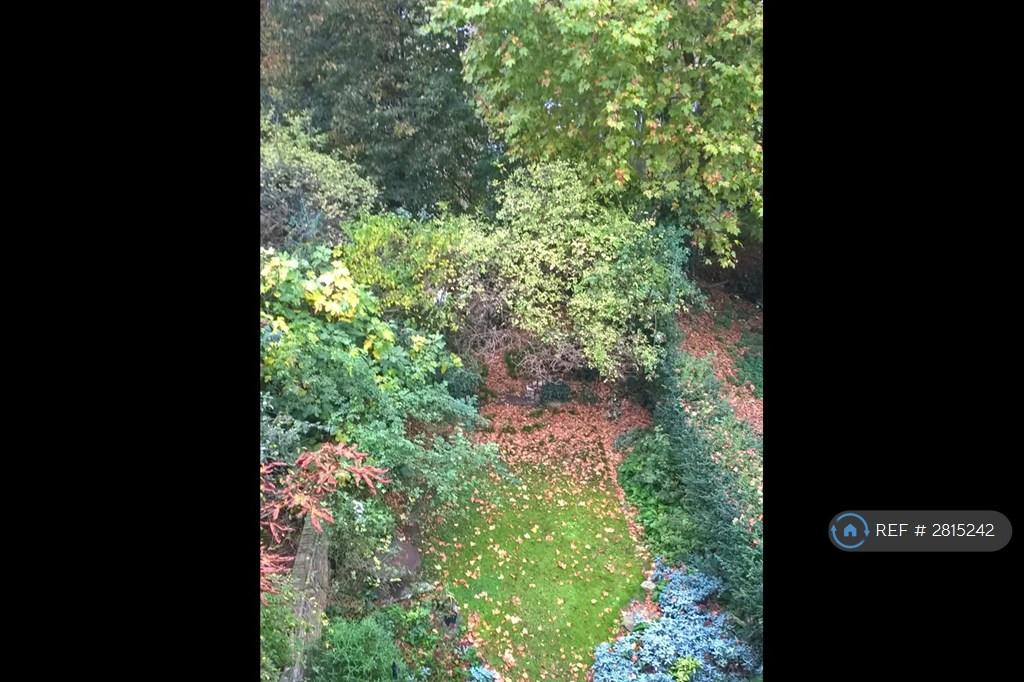 View From Bedroom In Autumn