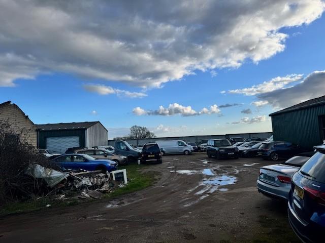 Yard T202603121542.jpg