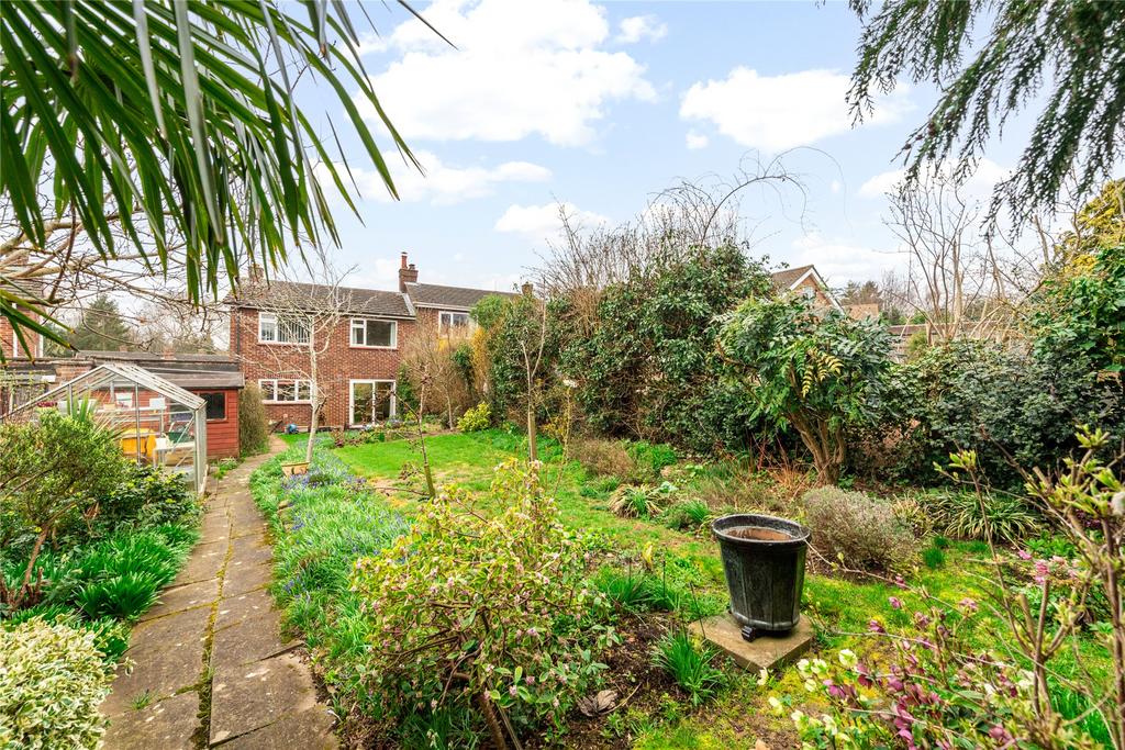 Rear Of Property