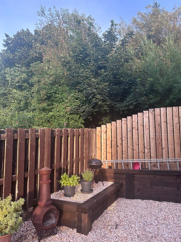 Garden in the summer