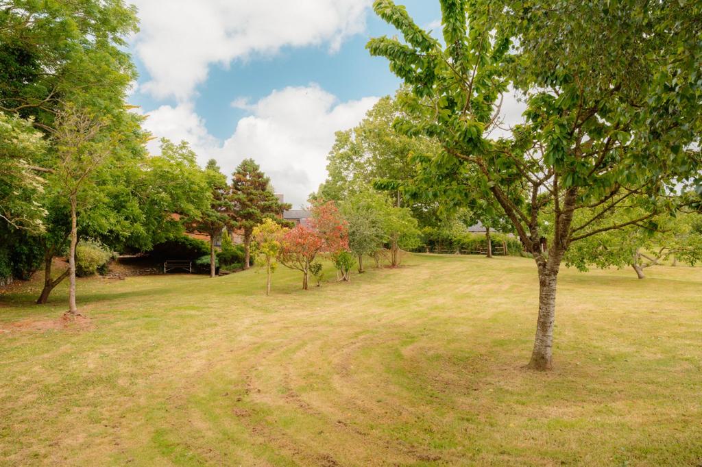 Grounds