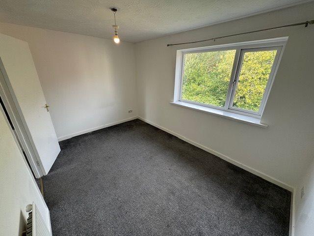 Img 2102