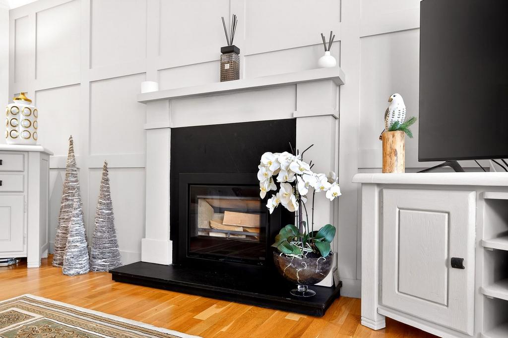 Wood Burner