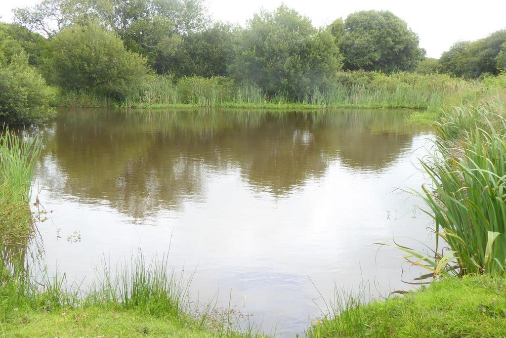 One of sites fishing lakes 3.jpeg