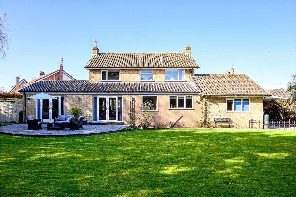 Rear Elevation