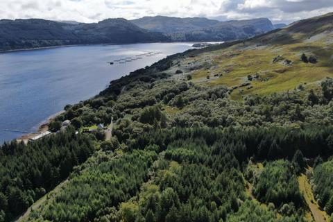 undefined, Strome Carronagh Forest, Lochcarron IV54