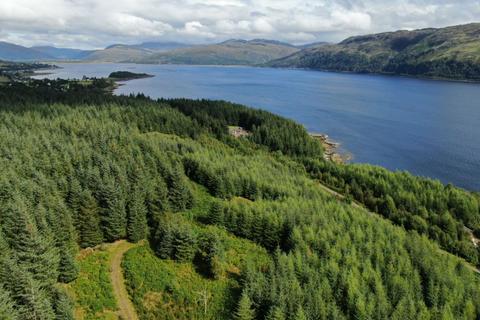 undefined, Strome Carronagh Forest, Lochcarron IV54