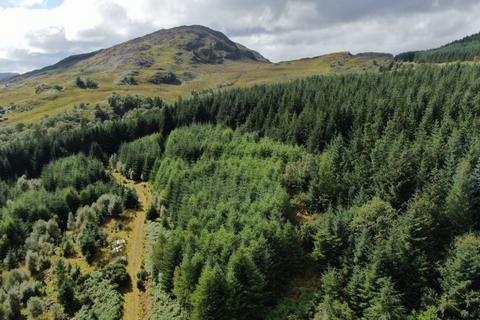 undefined, Strome Carronagh Forest, Lochcarron IV54