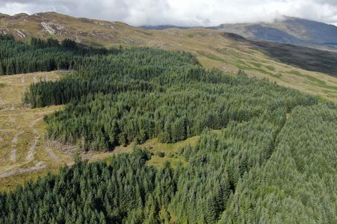undefined, Strome Carronagh Forest, Lochcarron IV54