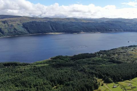 undefined, Strome Carronagh Forest, Lochcarron IV54