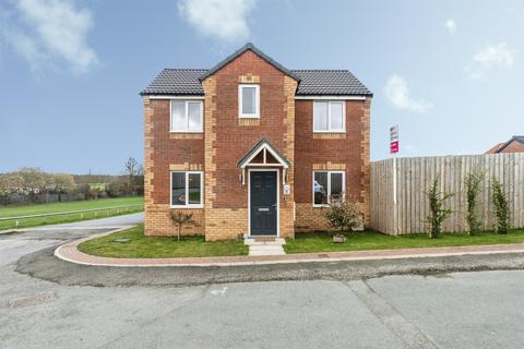 3 bedroom detached house for sale - Pear Tree Mews, Knottingley