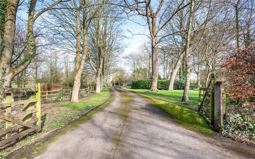 Driveway