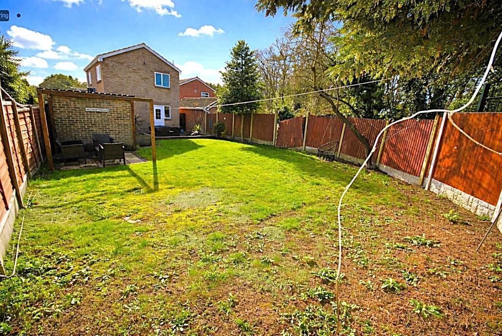 Rear garden 3
