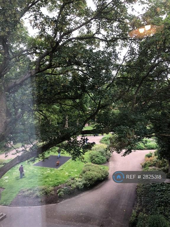 St Martins Garden View From Window