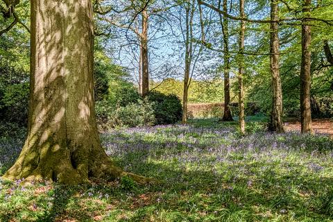 undefined, Birches Lane, Gomshall