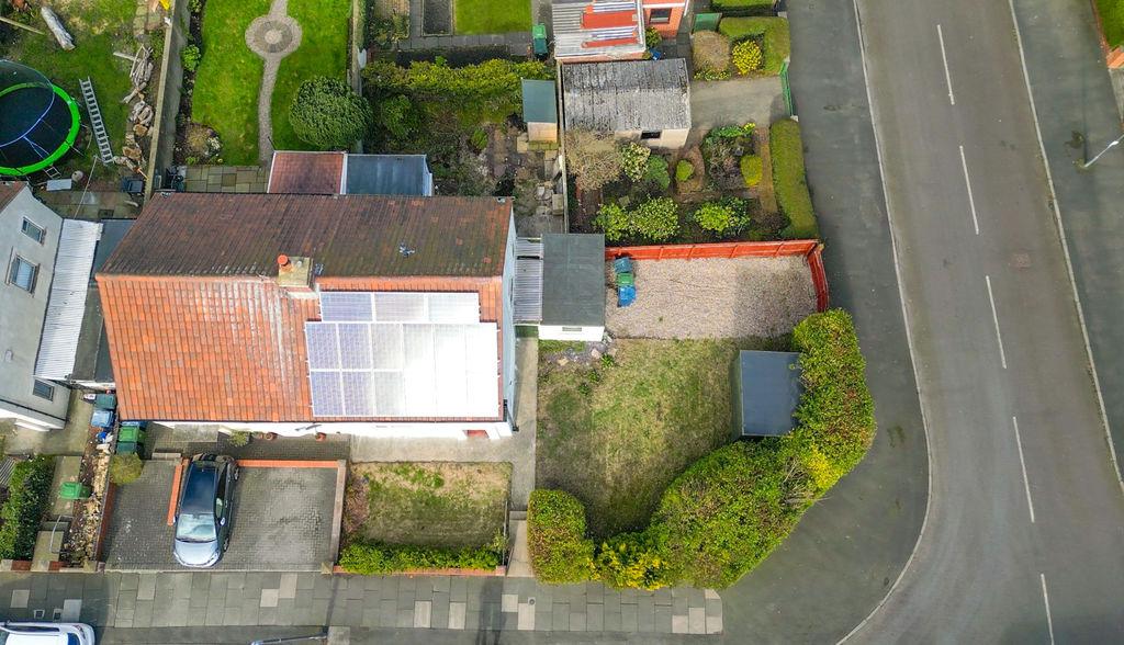 Plot View