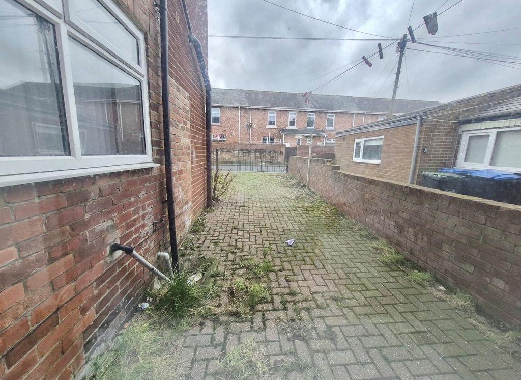 Back Garden