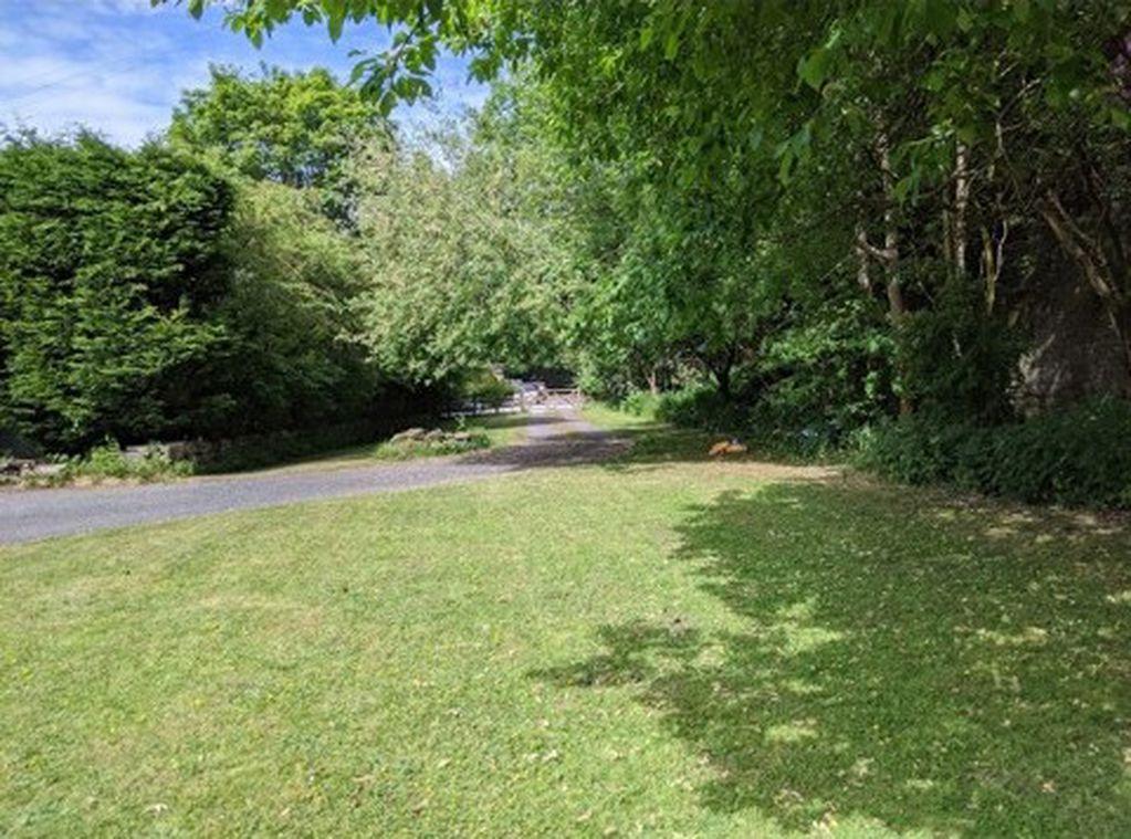Garden &amp; Driveway