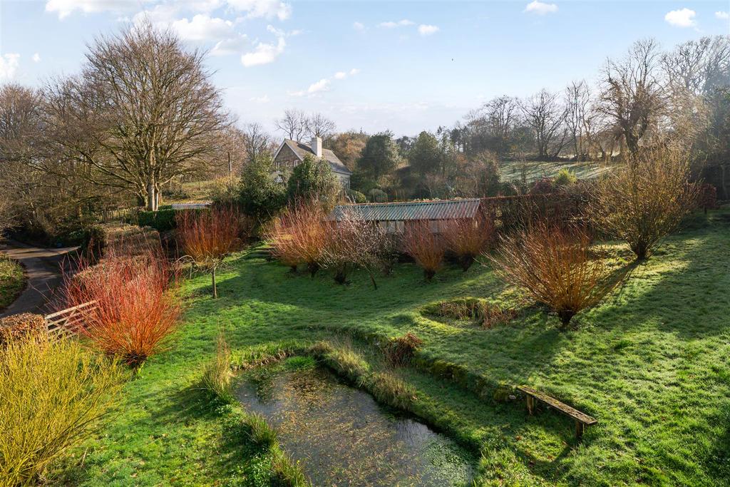 Pond and Studi
