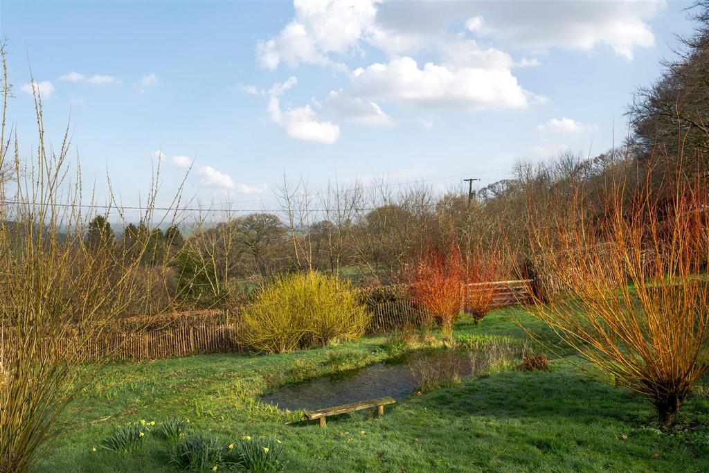 Pond