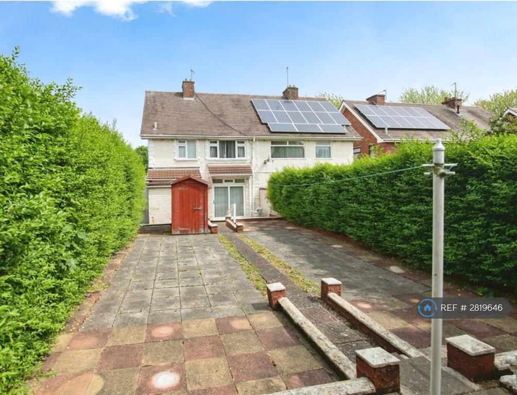 Back Garden