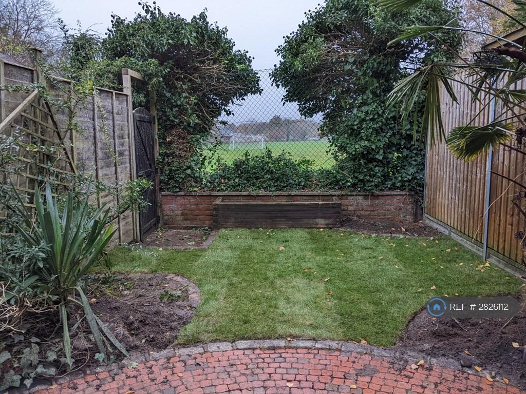 Back Garden