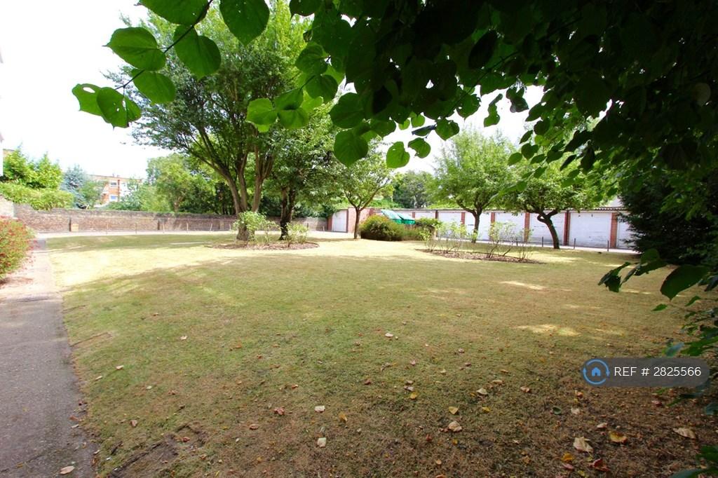 Communal Garden